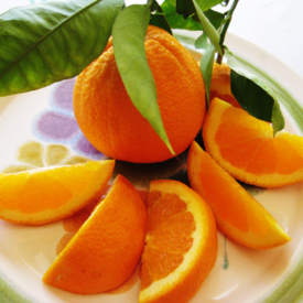 Fresh orange slices