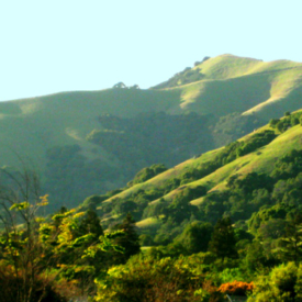 Lucas Valley hills