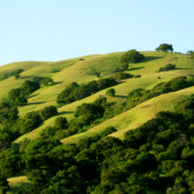 Lucas Valley hills