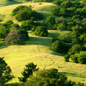Lucas Valley hills