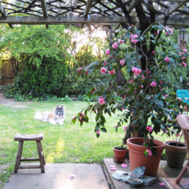 Garden patio