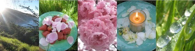 Sunrise over hills, rose petals, peonies, a candle, dew on grass